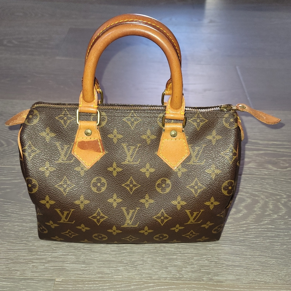 Louis Vuitton Purse